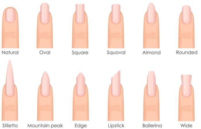 формы ногтей для маникюра и их названия